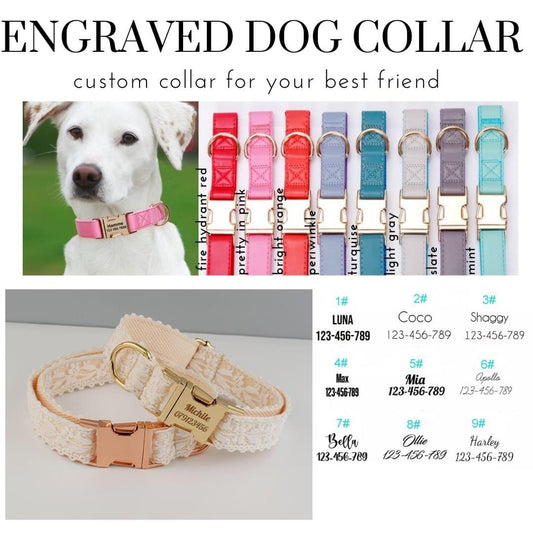 Engraved Dog Collar