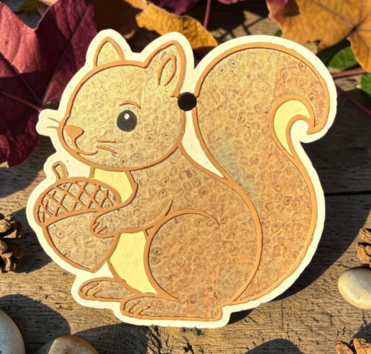 Fall squirrel