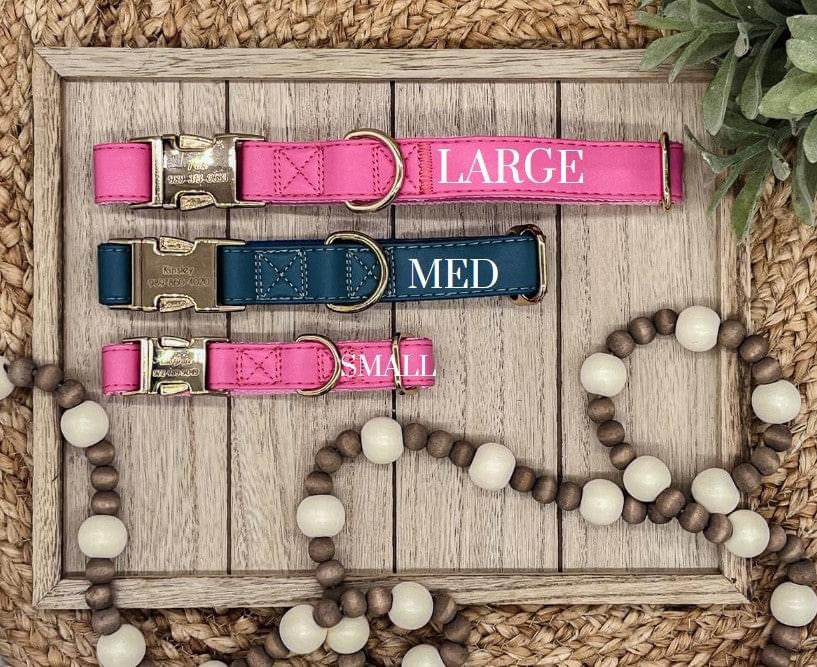Engraved Dog Collar