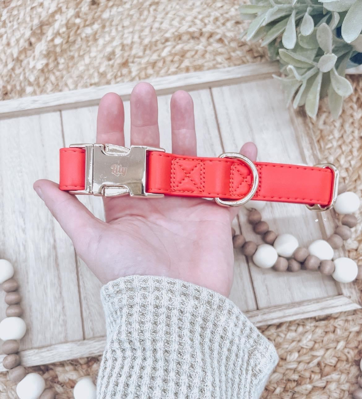 Engraved Dog Collar