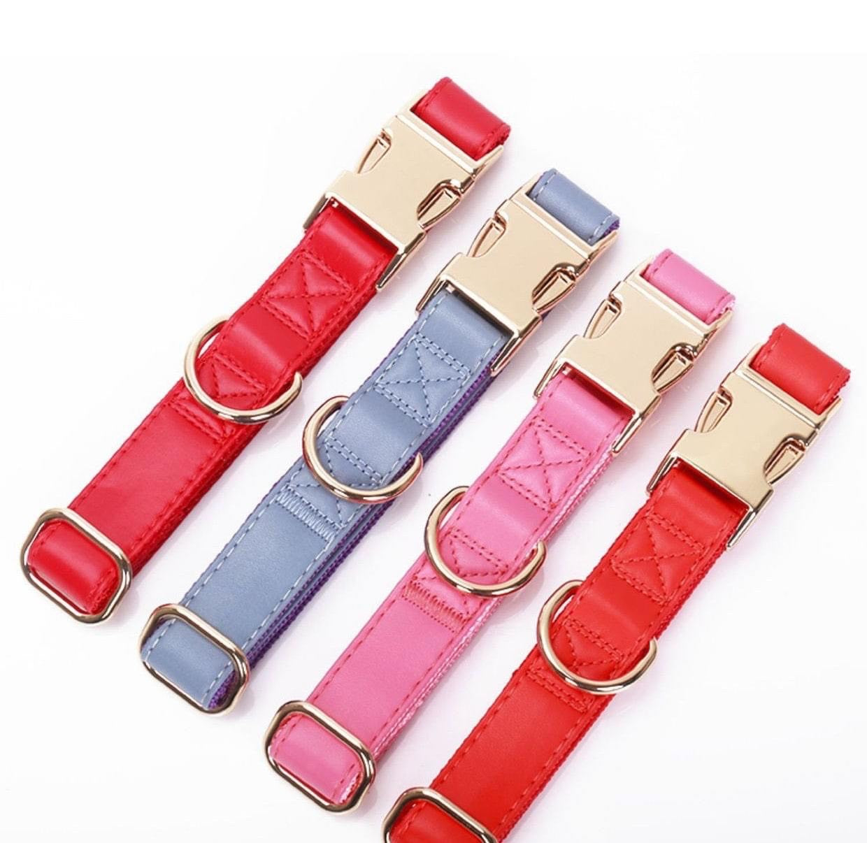 Engraved Dog Collar