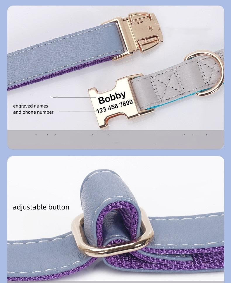 Engraved Dog Collar